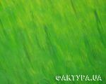 декоративная штукатурка_11